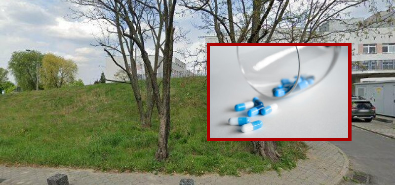 Zdrowie Poznań - Zdjęcie podglądowe artykułu