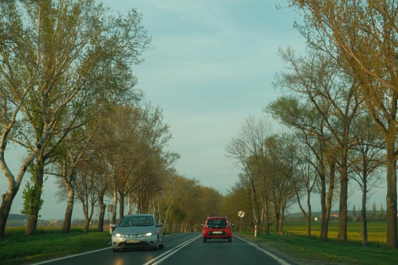 Drogi i wypadki Poznań - Zdjęcie podglądowe artykułu